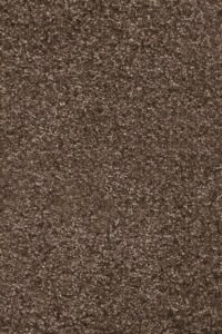 MODULTEPPE INVICTUS PRISCUS 40