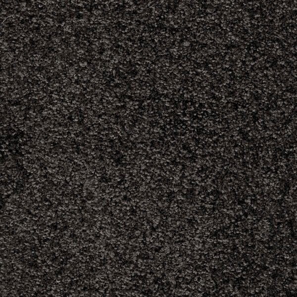 MODULTEPPE INVICTUS CRIXUS 99