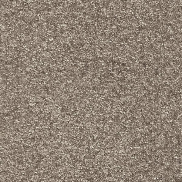 Alternative view of Modulteppe Invictus Spartacus 49 Safari
